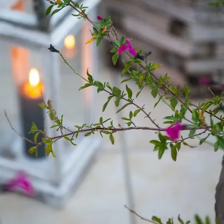 Dina's House Βόλος