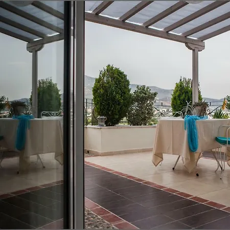 Villa Dina's House